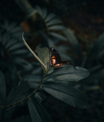 arun-clarke-VAxzTA5IStU-unsplash